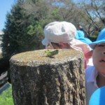 IMG_0899