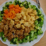 DSCN0010