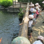 IMG_5790