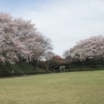 IMG_4850