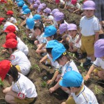 しらさぎ幼稚園