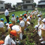 しらさぎ幼稚園